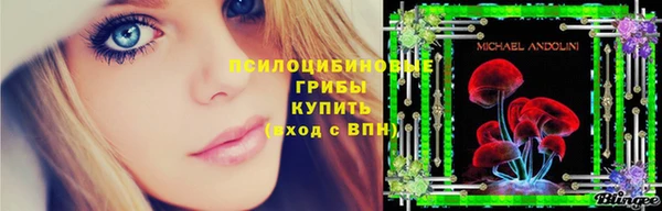 МДПВ Алексин