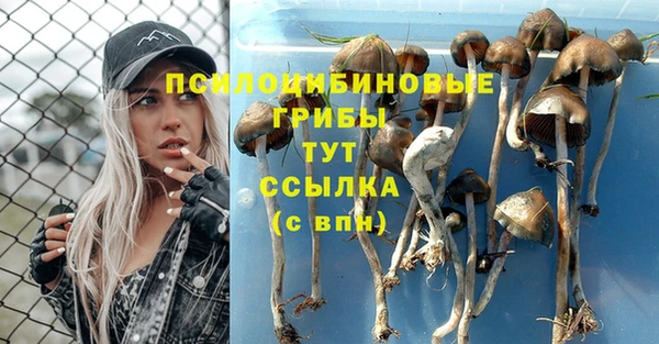 стаф Алексеевка