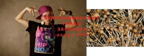 МДПВ Алексин